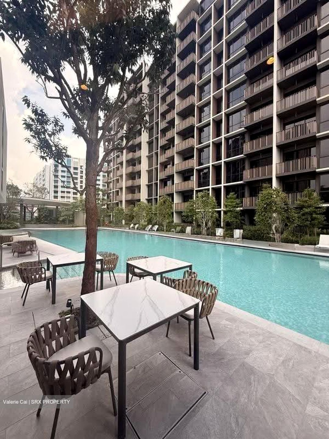 Norwood Grand (D25), Apartment #610911411